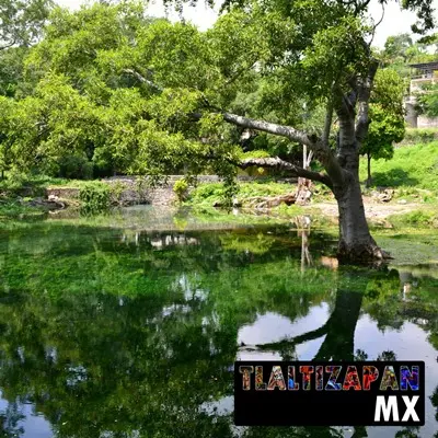 Manantial 'Ojito de agua' de Ticuman en Tlaltizapán, Morelos